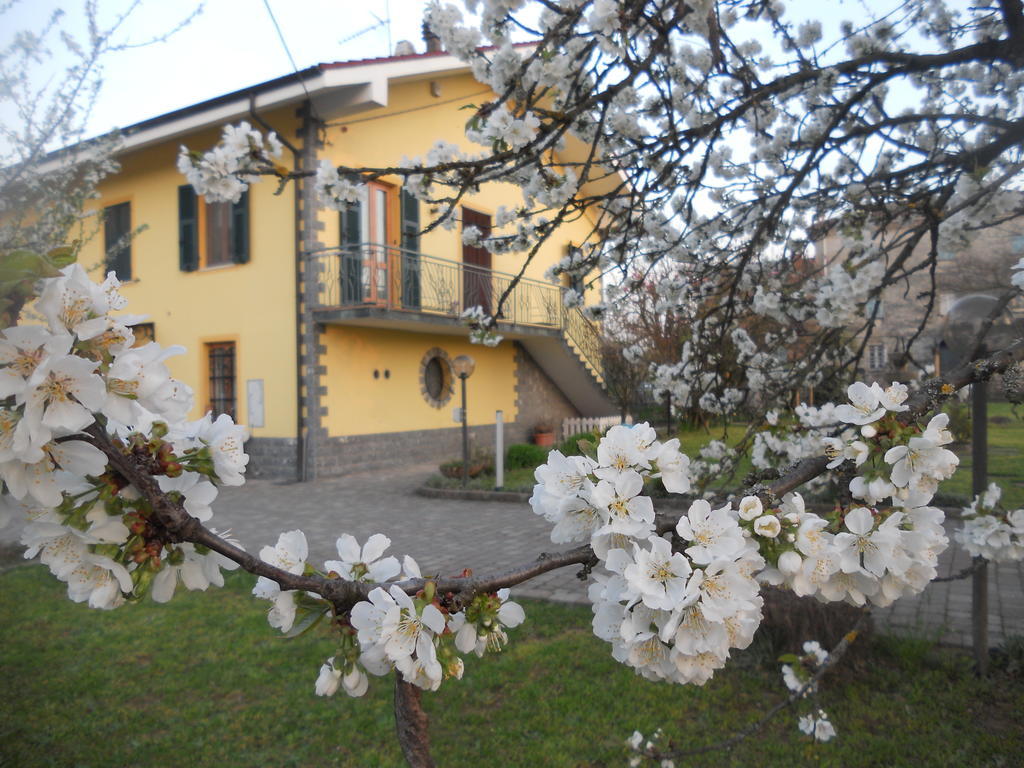 B&B Pervinca Rocca Grimalda エクステリア 写真